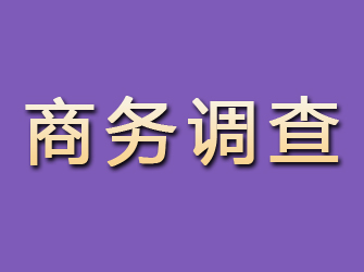 张家口商务调查